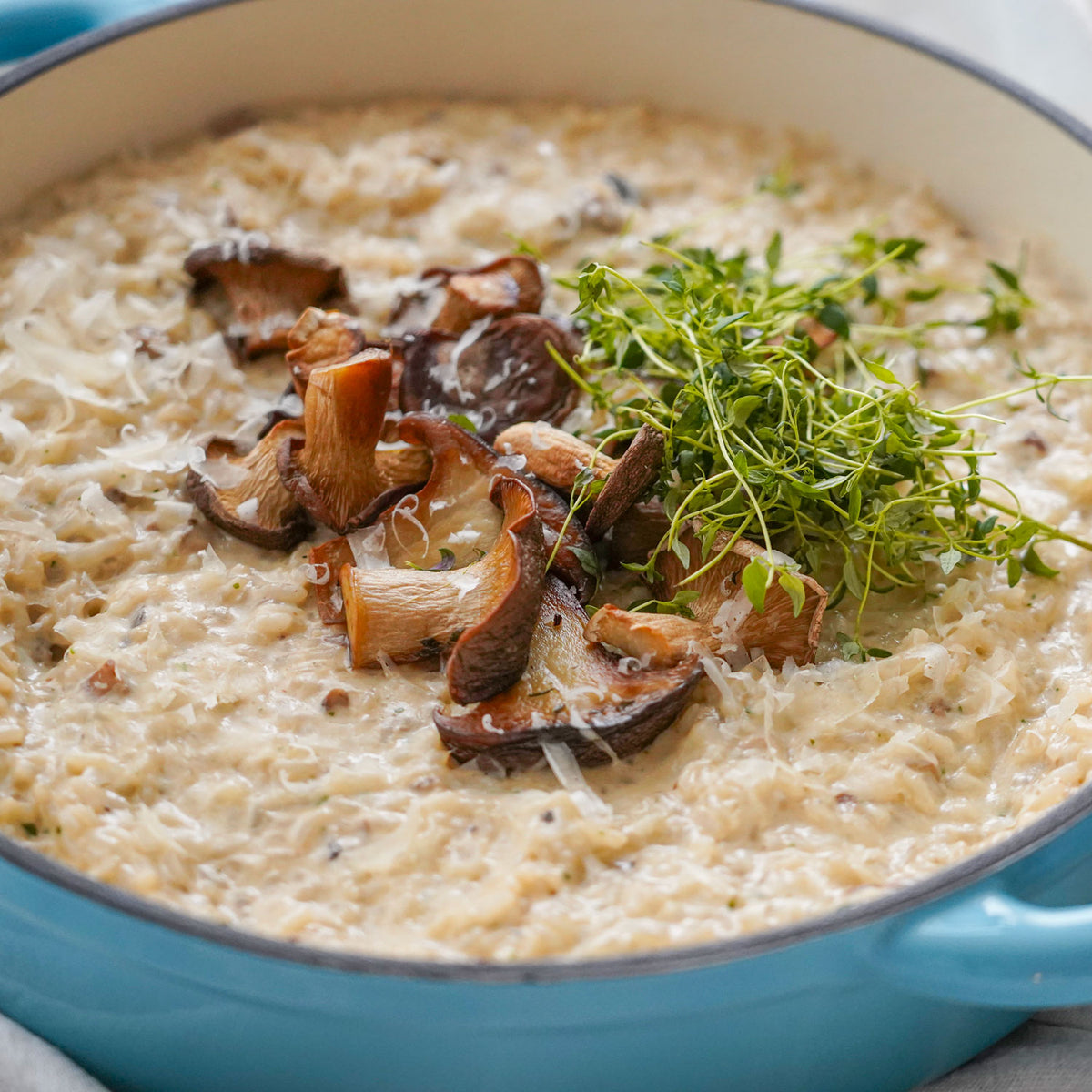 Sautégryta i emaljerat gjutjärn, 3,5 liter, från Qookware